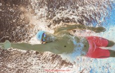 咪咕体育直播-法甲外援数据表现统计及其对球队竞争力的贡献度评估